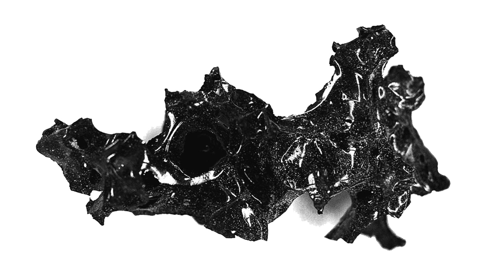 Vitrified human brain